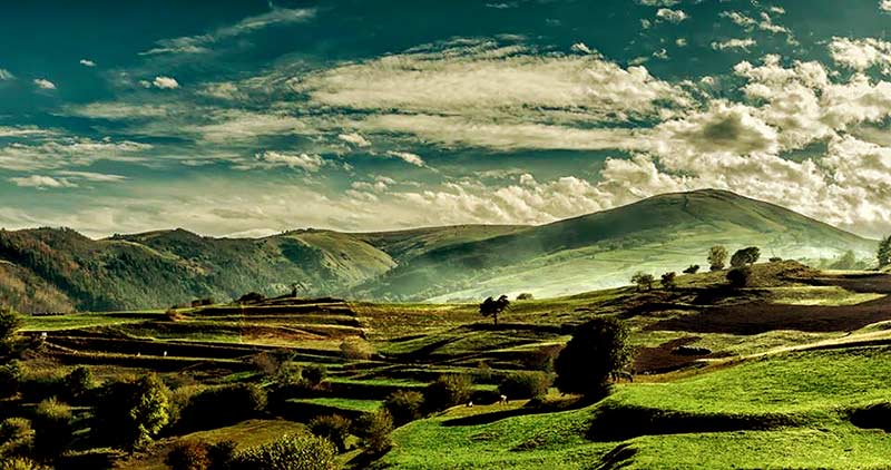 El rincón de Lalo